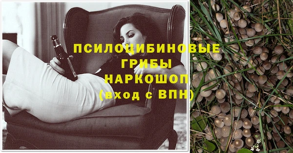 МДПВ Белокуриха