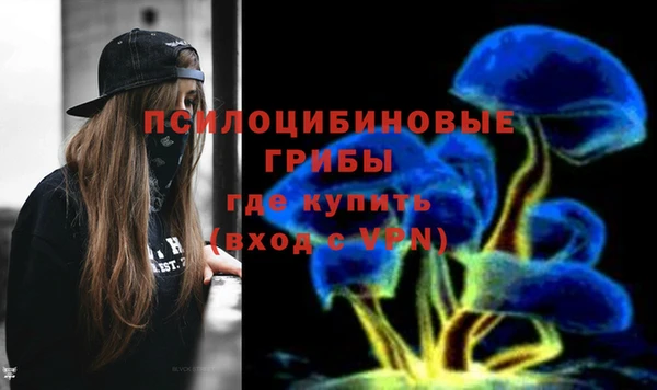 не бодяженный Богородицк