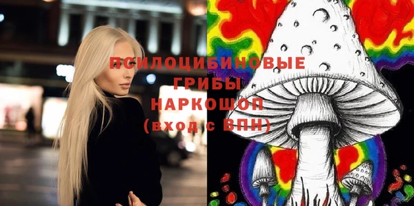 марки lsd Богданович