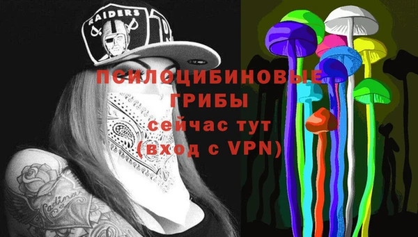 не бодяженный Богородицк
