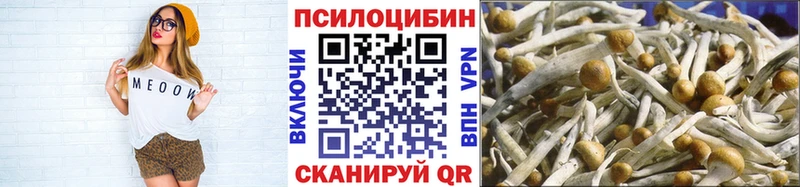 Псилоцибиновые грибы MAGIC MUSHROOMS  закладка  Шенкурск 