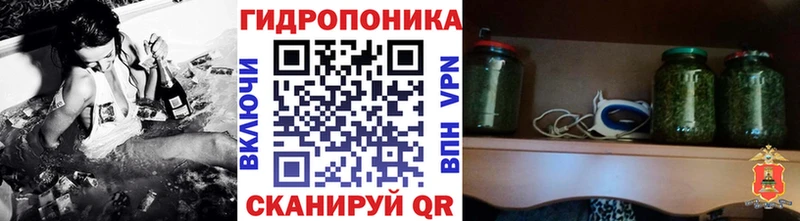 Канабис сатива  Шенкурск 